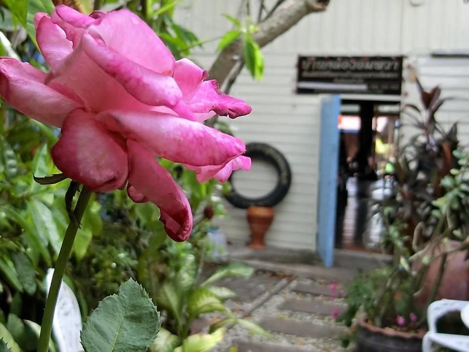 Baanklong Amphawa Homestay Esterno foto